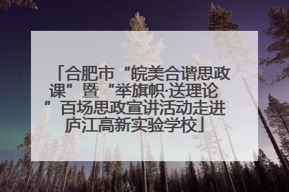 合肥市“皖美合谐思政课”暨“举旗帜·送理论”百场思政宣讲活动走进庐江高新实验学校