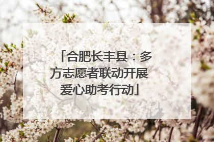 合肥长丰县：多方志愿者联动开展爱心助考行动