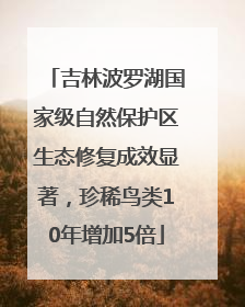 吉林波罗湖国家级自然保护区生态修复成效显著，珍稀鸟类10年增加5倍