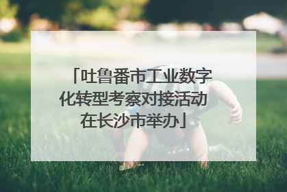 吐鲁番市工业数字化转型考察对接活动在长沙市举办