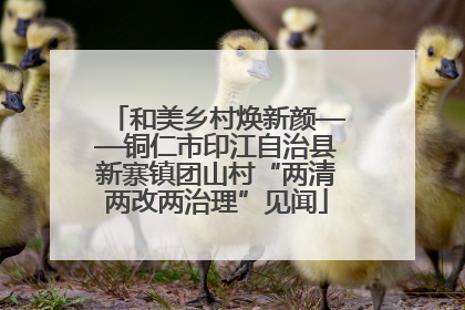 和美乡村焕新颜——铜仁市印江自治县新寨镇团山村“两清两改两治理”见闻
