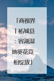 商视界丨柘城县：容湖湿地葵花竞相绽放