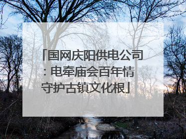 国网庆阳供电公司：电牵庙会百年情 守护古镇文化根