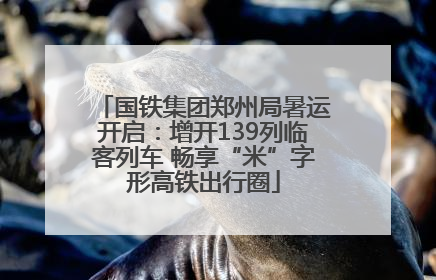 国铁集团郑州局暑运开启：增开139列临客列车 畅享“米”字形高铁出行圈