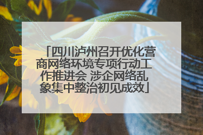 四川泸州召开优化营商网络环境专项行动工作推进会 涉企网络乱象集中整治初见成效