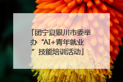 团宁夏银川市委举办“AI+青年就业”技能培训活动