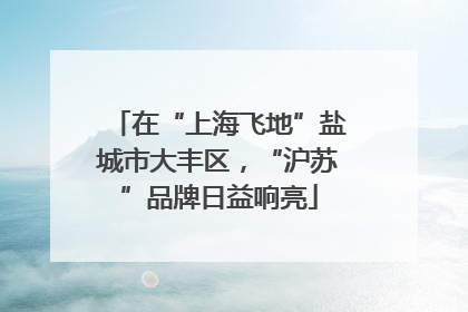 在“上海飞地”盐城市大丰区，“沪苏”品牌日益响亮