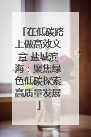 在低碳路上做高效文章 盐城滨海：聚焦绿色低碳探索高质量发展