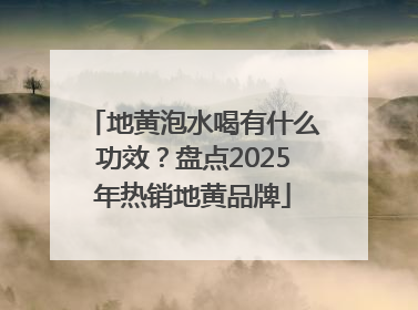 地黄泡水喝有什么功效？盘点2025年热销地黄品牌