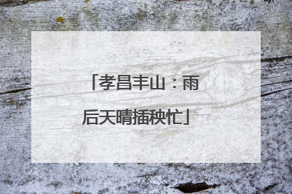 孝昌丰山：雨后天晴插秧忙