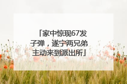 家中惊现67发子弹，遂宁两兄弟主动来到派出所