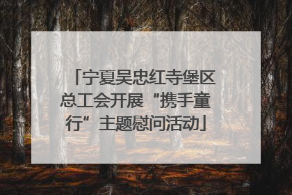 宁夏吴忠红寺堡区总工会开展“携手童行”主题慰问活动