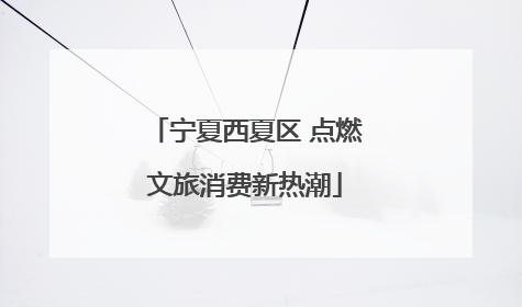 宁夏西夏区 点燃文旅消费新热潮