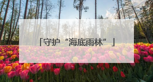 守护“海底雨林”