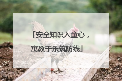 安全知识入童心，寓教于乐筑防线