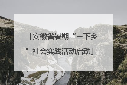 安徽省暑期“三下乡”社会实践活动启动