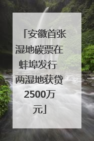 安徽首张湿地碳票在蚌埠发行 两湿地获贷2500万元