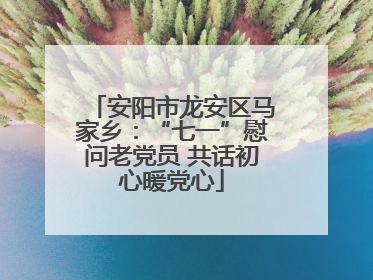 安阳市龙安区马家乡：“七一”慰问老党员 共话初心暖党心