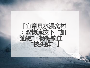 宜章县水浸窝村：双物流按下“加速键” 杨梅锁住“枝头鲜”