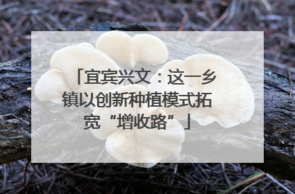 宜宾兴文：这一乡镇以创新种植模式拓宽“增收路”