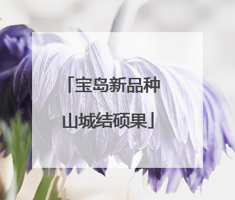 宝岛新品种 山城结硕果