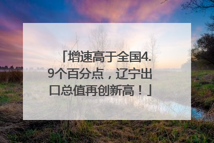 增速高于全国4.9个百分点，辽宁出口总值再创新高！
