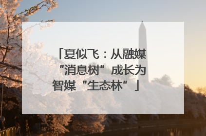 夏似飞：从融媒“消息树”成长为智媒“生态林”