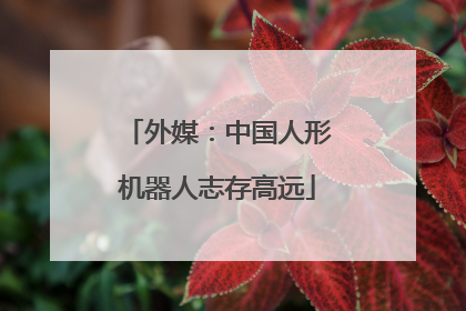 外媒：中国人形机器人志存高远