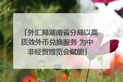 外汇局湖南省分局以高质效外币兑换服务 为中非经贸博览会赋能