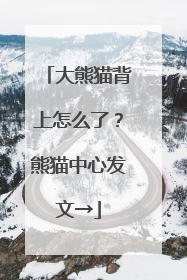 大熊猫背上怎么了？熊猫中心发文→