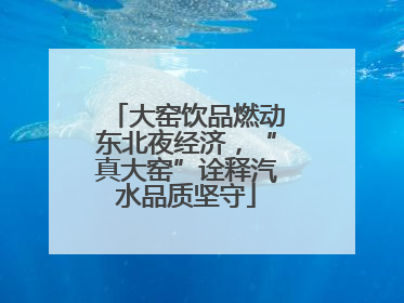 大窑饮品燃动东北夜经济，“真大窑”诠释汽水品质坚守