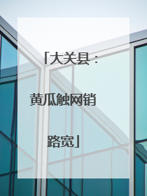 大关县：黄瓜触网销路宽