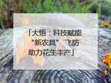 大悟：科技赋能“新农具” 飞防助力花生丰产