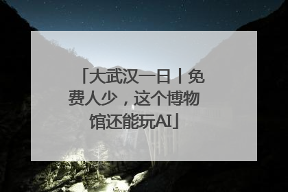大武汉一日丨免费人少，这个博物馆还能玩AI