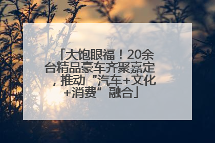 大饱眼福！20余台精品豪车齐聚嘉定，推动“汽车+文化+消费”融合