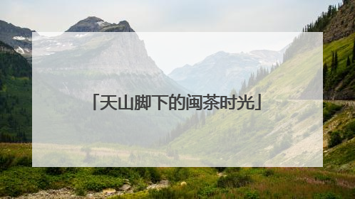 天山脚下的闽茶时光