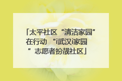 太平社区“清洁家园”在行动 “i武汉i家园”志愿者扮靓社区