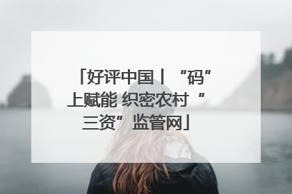 好评中国丨“码”上赋能 织密农村“三资”监管网