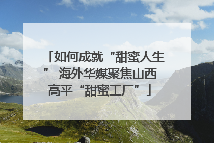 如何成就“甜蜜人生” 海外华媒聚焦山西高平“甜蜜工厂”