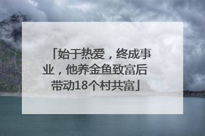 始于热爱，终成事业，他养金鱼致富后带动18个村共富