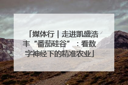 媒体行｜走进凯盛浩丰“番茄硅谷”：看数字神经下的精准农业