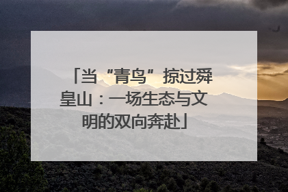 当“青鸟”掠过舜皇山：一场生态与文明的双向奔赴