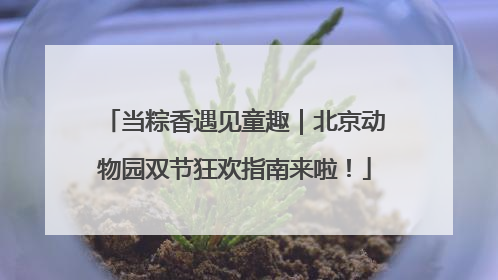 当粽香遇见童趣｜北京动物园双节狂欢指南来啦！