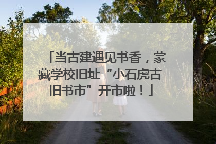 当古建遇见书香，蒙藏学校旧址“小石虎古旧书市”开市啦！