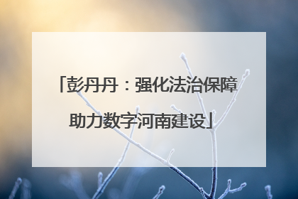 彭丹丹：强化法治保障 助力数字河南建设