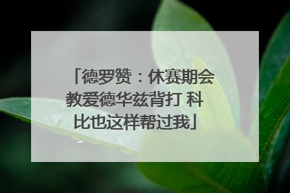 德罗赞：休赛期会教爱德华兹背打 科比也这样帮过我