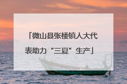 微山县张楼镇人大代表助力“三夏”生产
