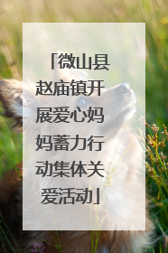 微山县赵庙镇开展爱心妈妈蓄力行动集体关爱活动