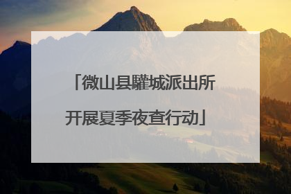 微山县驩城派出所开展夏季夜查行动