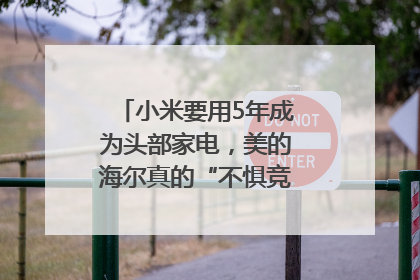 小米要用5年成为头部家电，美的海尔真的“不惧竞争”？｜热财经